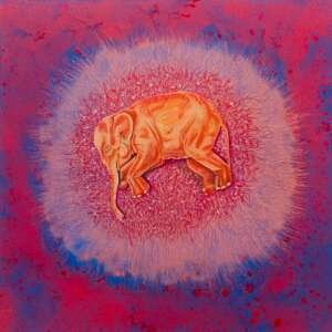 Basil Baby 60 cm X 60 cm -Art 02
