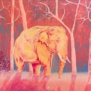 Basil Baby 120 cm x 90 cm – Art 01