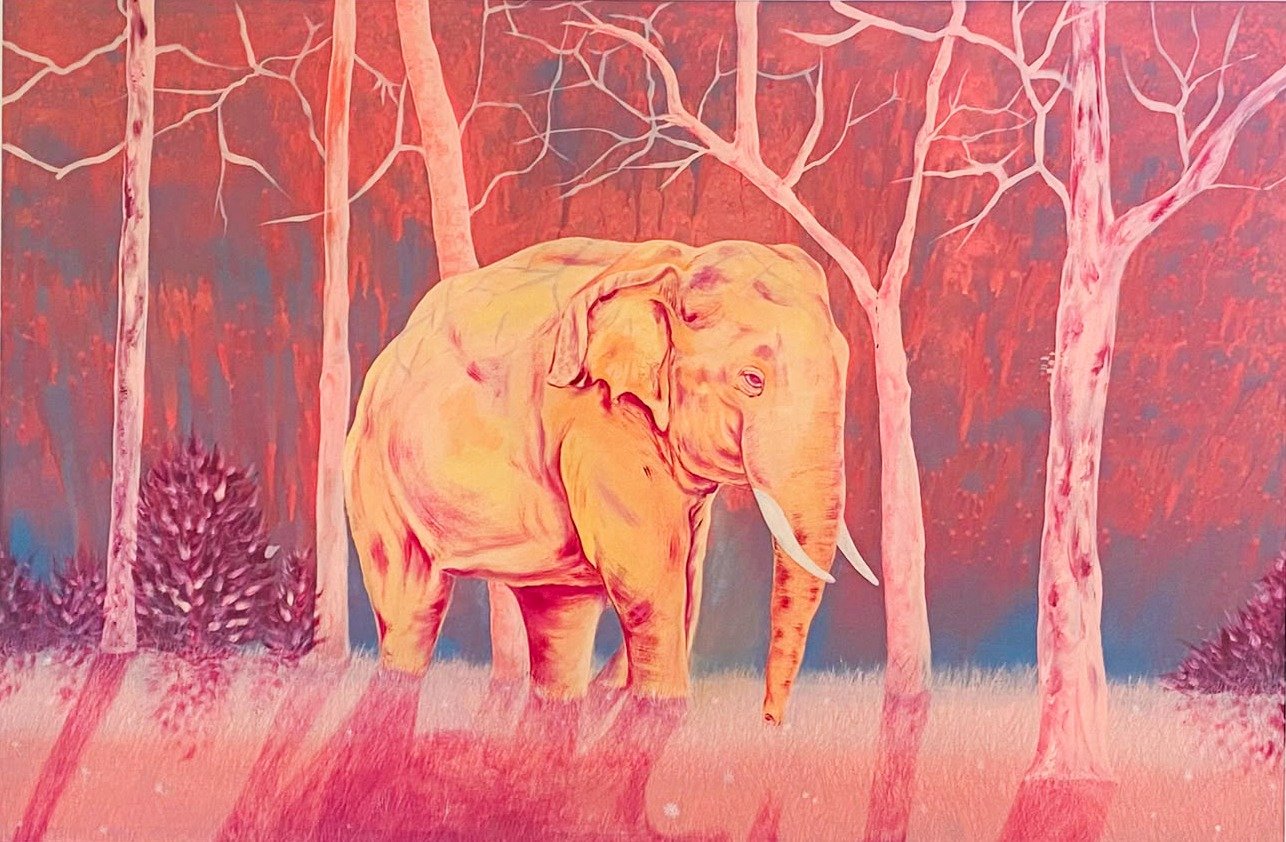 Basil Baby 120 cm x 90 cm – Art 01